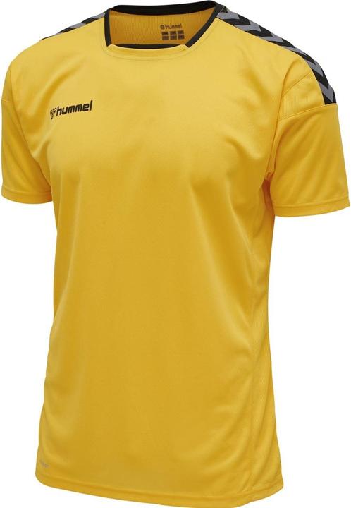 Immagine prodotto hummel Autentica Maglia Poly S/S (M)