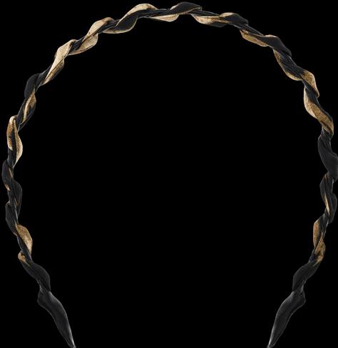 Immagine prodotto Invisibobble CAPELLI HALO - Roarsome (Cerchietti)