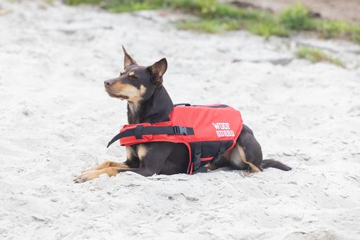 Produktbild Beeztees Sicherheits-Schwimmweste (Hundeschwimmweste)