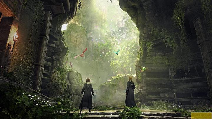 Immagine prodotto WB Hogwarts Legacy (PS4, DE)