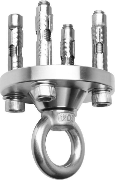 Actual product image Tsss ceiling hooks