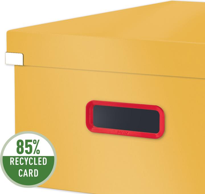 Image du produit Leitz CLICK & STORE COSY - Boîte Grande (A3)