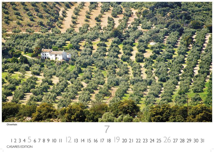 Produktbild Spanien 2026 S 24x35 cm (24 x 35 cm, Deutsch)