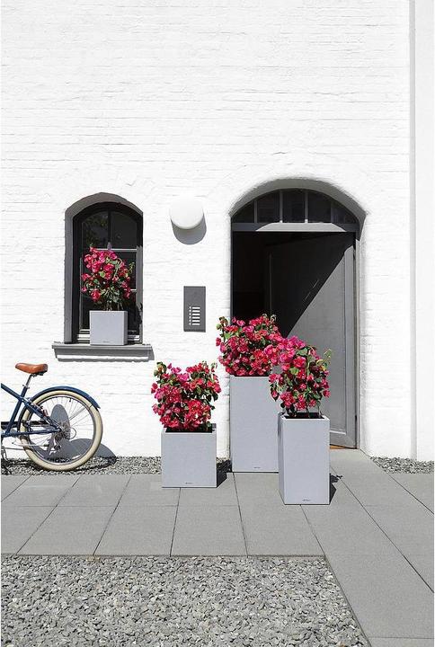 Actual product image Lechuza Canto Stone (40 cm)
