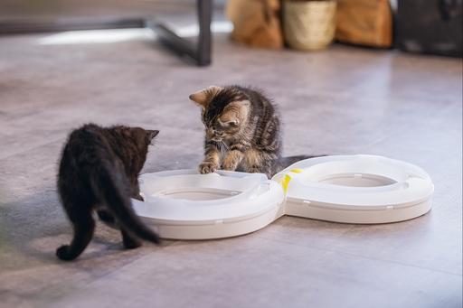 Actual product image Beeztees Bz Kitten Pl Game Rail Agty