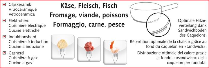 Produktbild Koenig Fondue Caquelon One for all