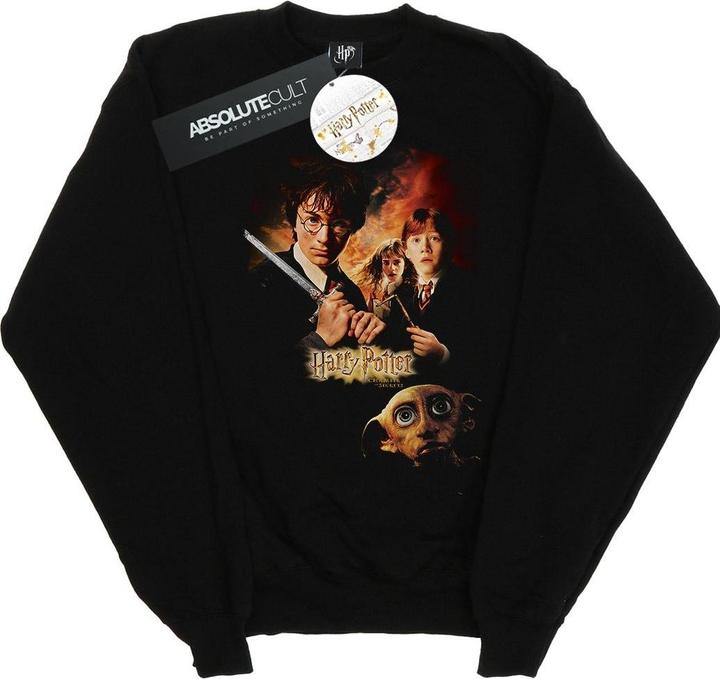 Produktbild Chamber Of Secrets Poster Sweatshirt (L)