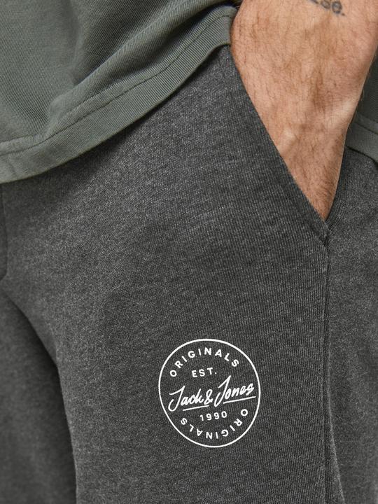 Image du produit Jack & Jones Gordon Sweathose (S)