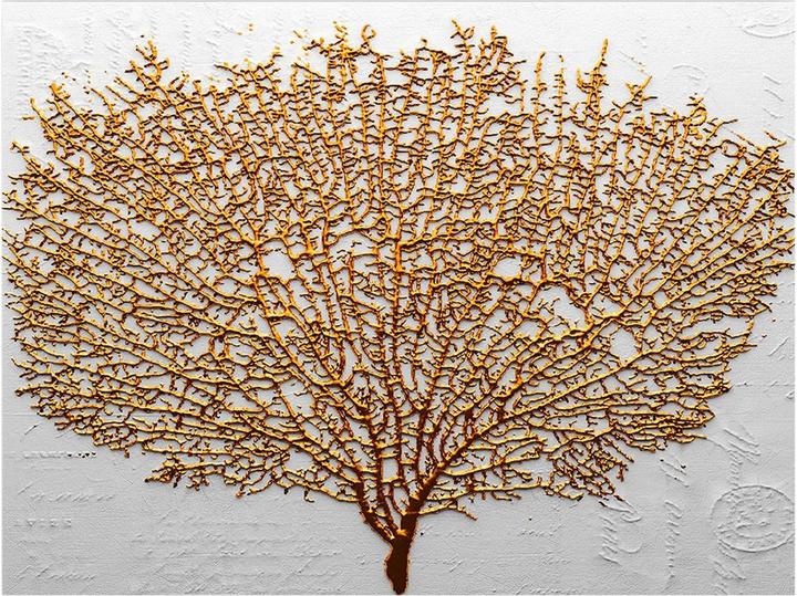 Produktbild Wallxpert Emely (70 x 100 cm)