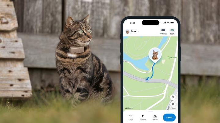 Immagine prodotto Tractive GPS Mini (Taglia unica, Gatto, Generale)