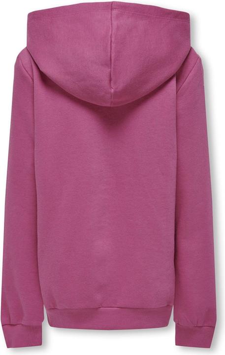 Image du produit Only Sweat à capuche uni (104)