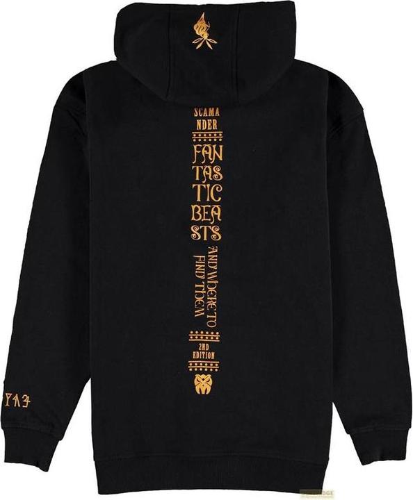Difuzed Warner - Fantastic Beasts - Men's Kangaroo Pocket Hoodie - XL (XL)