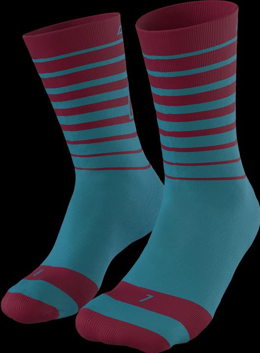 Actual product image Dynafit Live To Ride Socks (35 - 38)