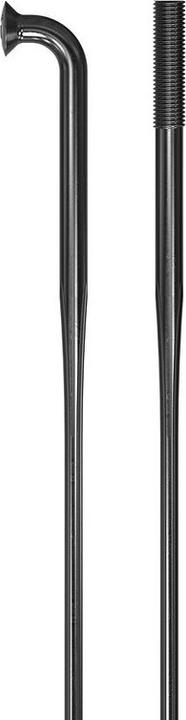 Actual product image DT Swiss Revolite