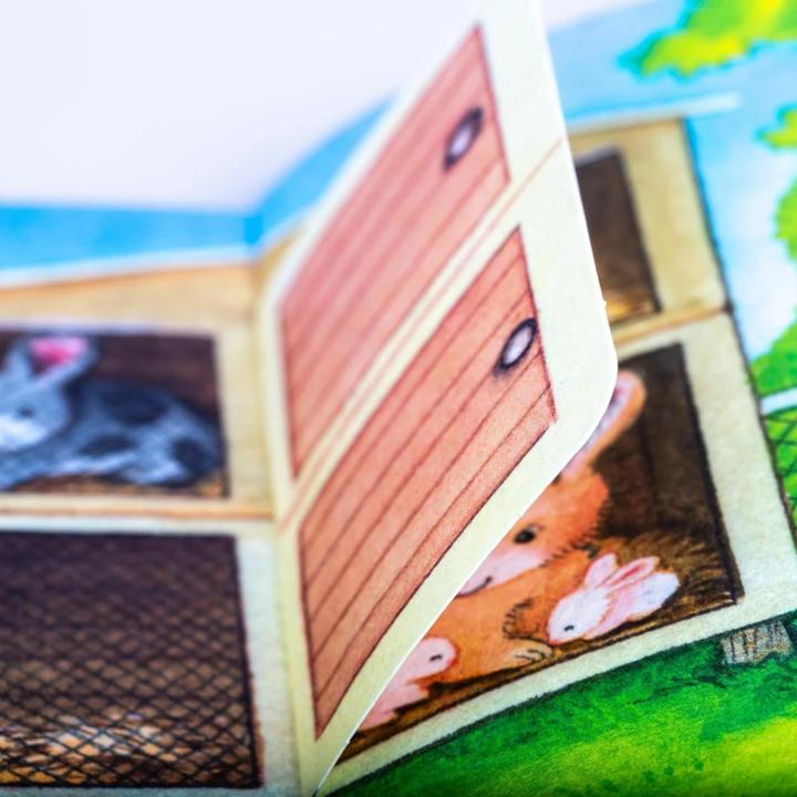 Image du produit Baby Pixi 69 : mon livre préféré de la ferme (Allemand)