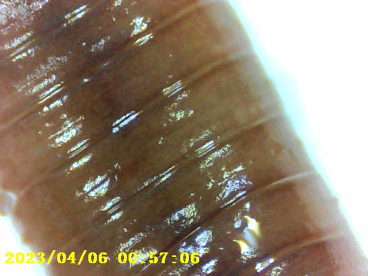 Image du produit Denver MSC-255 Microscope numérique Noir Nouveau