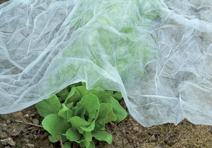Actual product image Magni Floraworld Classic garden/winter fleece, white, 1000 x 150 x 40 cm