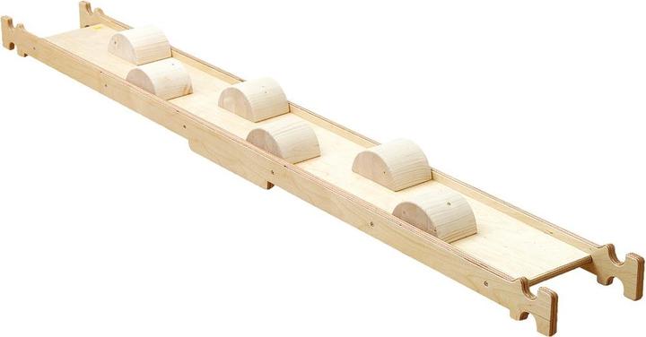 Erzi Consiglio di amministrazione equilibrato Rami