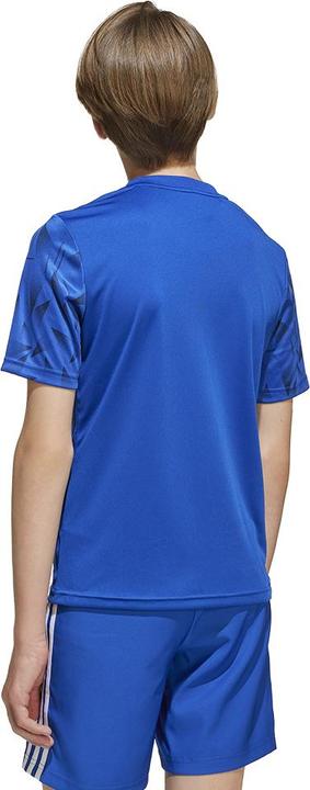 Produktbild adidas Team Icon 25 Trikot Kids (164)