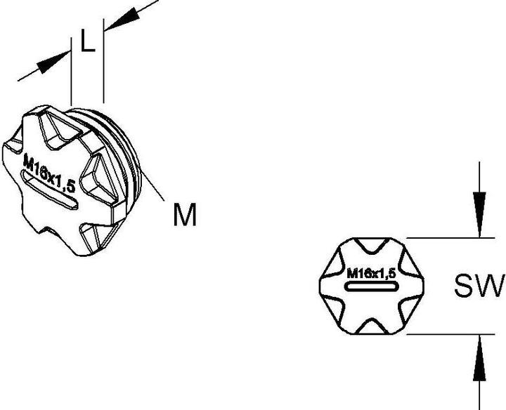 Actual product image HKL Screw plug