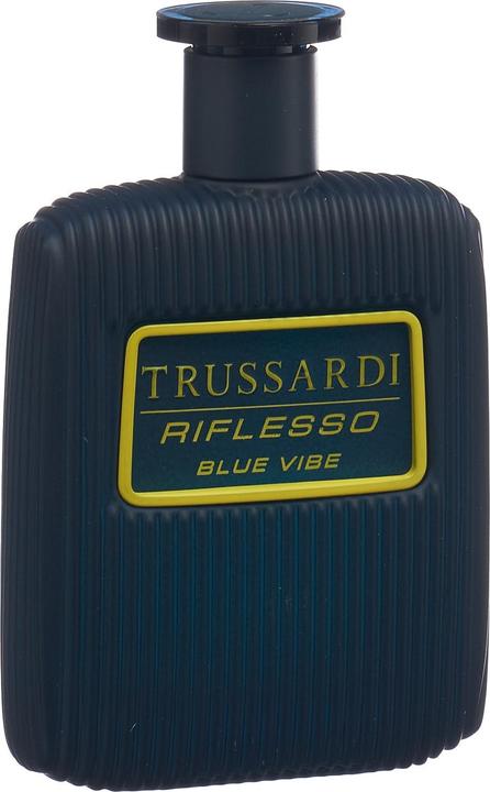 Image du produit Trussardi Blue Vibe (Eau de toilette, 100 ml)