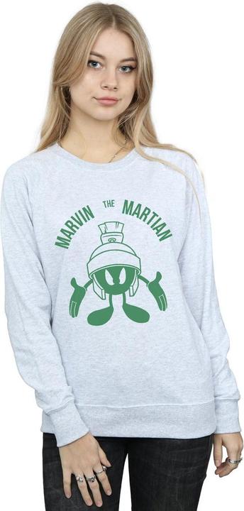 Actual product image Looney Tunes Womens/Ladies Marvin The Martian Large Head Sweatshirt (L)