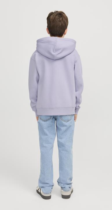 Produktbild Jack & Jones Jjestar Jj Sweat Hood Noos Jnr (140)