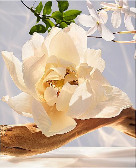 Actual product image Bulgari Omnia Crystalline (Eau de parfum, 100 ml)