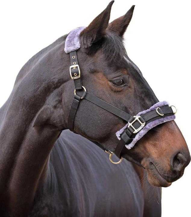 Actual product image Shires Fleece Lined Plush Horse Lunge Cavesson