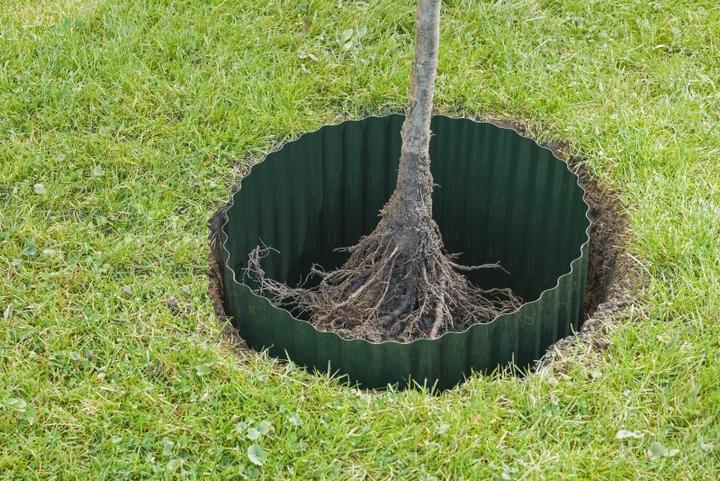 Produktbild Windhager Wurzelsperre und Rasenkante (350 cm, 60 cm)
