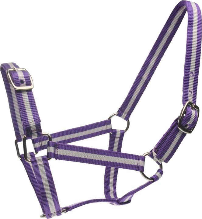 Actual product image Roma Horse Halter And Lead Set