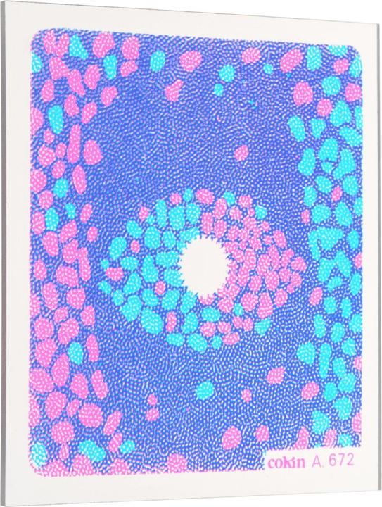 Immagine prodotto Cokin Filtro A672 Anello (67 mm, Filtri di colore)