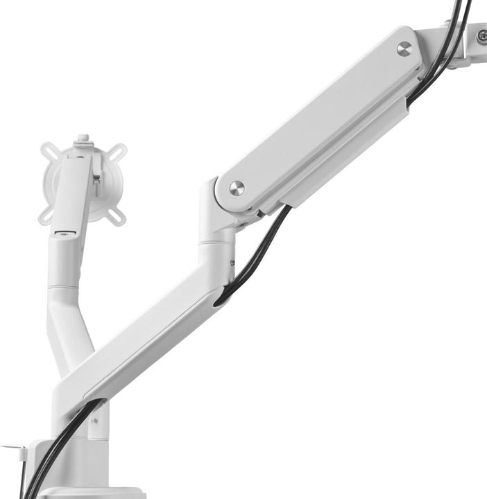 Actual product image One for All Monitor mount Solid Dual White DM 4220 (Table, 35")