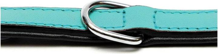 Actual product image Gloria Dog collar padding Turquoise 50 cm (50 x 2.5 cm) (Dog, General)