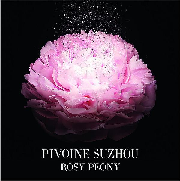 Immagine prodotto Giorgio Armani Pivoine Suzhou (Eau de toilette, 50 ml)