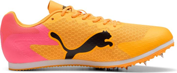 Produktbild Puma evoSPEED Star 9 (41)