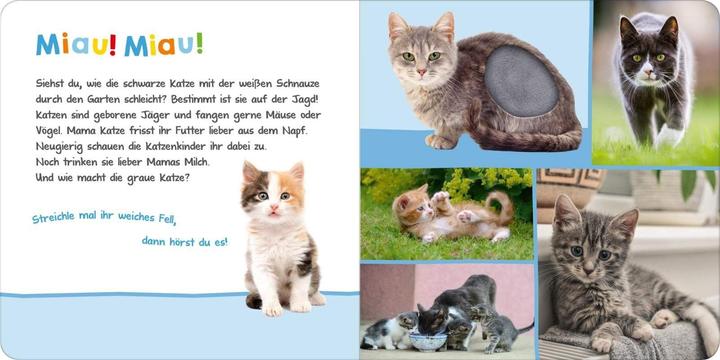 Immagine prodotto Ascolta, chi potrebbe essere? Animali domestici (Tedesco)