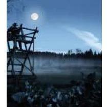Image du produit Steiner Nighthunter (8 x, 56 mm)