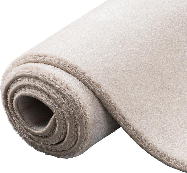 Produktbild Snapstyle Hochflor Luxus Velours Teppich Touch (100 x 300 cm)