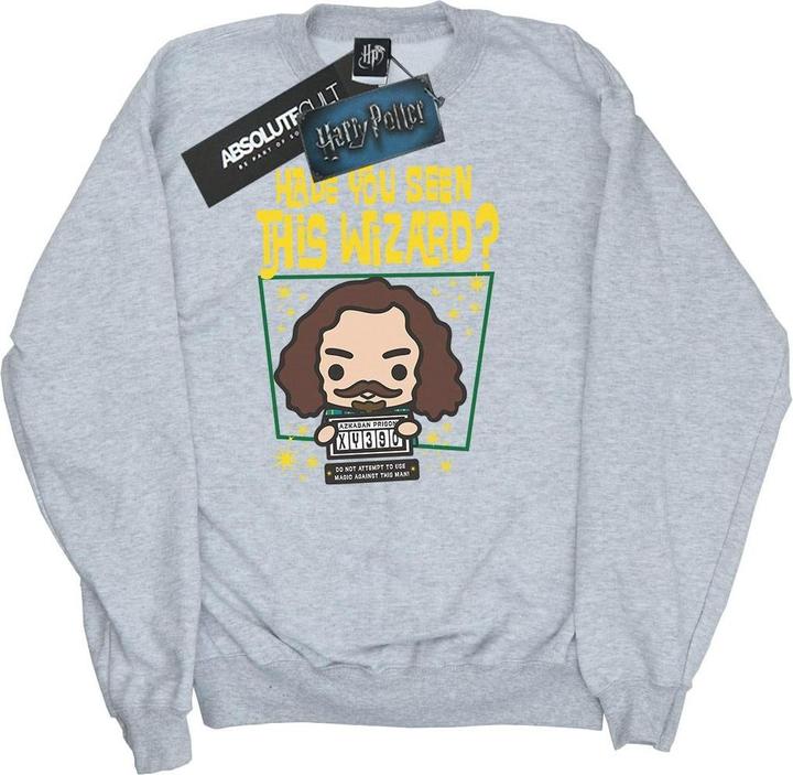 Produktbild Sirius Black Azkaban Junior Sweatshirt Jungen (152, 158)