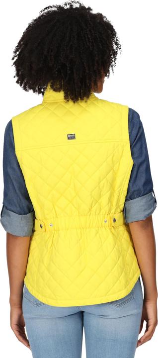 Actual product image Regatta Womens/Ladies Carmine Gilet (38 D)