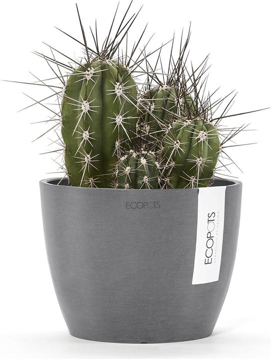 Produktbild Ecopots Stockholm (16 cm)