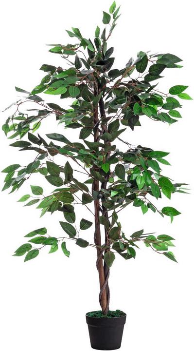 Actual product image Paperflow Fig tree (120 cm)