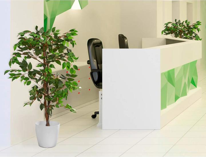 Actual product image Paperflow Fig tree (120 cm)