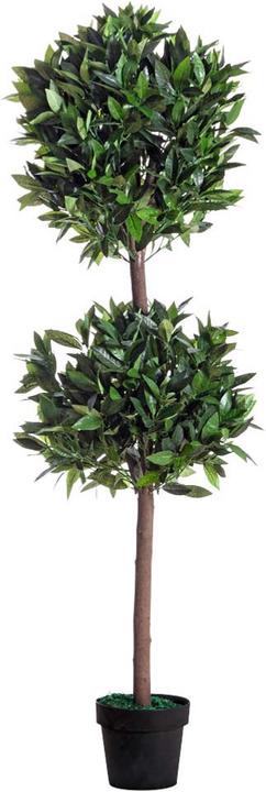 Actual product image Paperflow Laurel (165 cm)