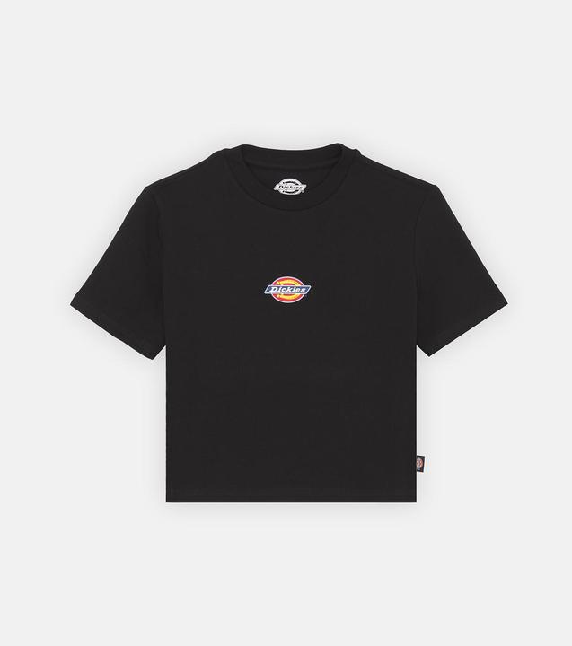 Dickies Maple Valley Tee Black (S)