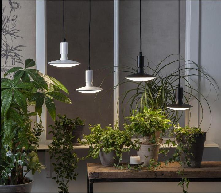 Actual product image Star Trading High Lumen (E27, 25 W, 1600 lm, 1 x, G)