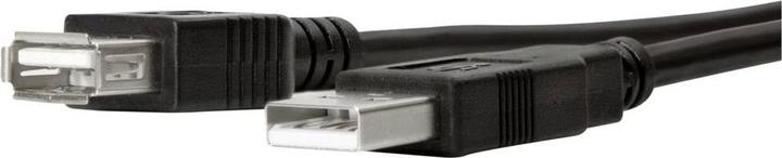 Actual product image LogiLink UA0021D (0.30 m, USB 1.1)