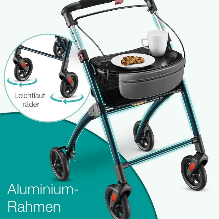 Actual product image Aktivshop Premium residential rollator