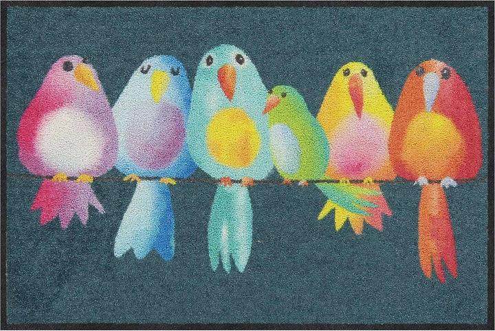 Immagine prodotto Salonloewe Zerbino uccelli arcobaleno 50 cm x 75 cm (50 x 75 cm)